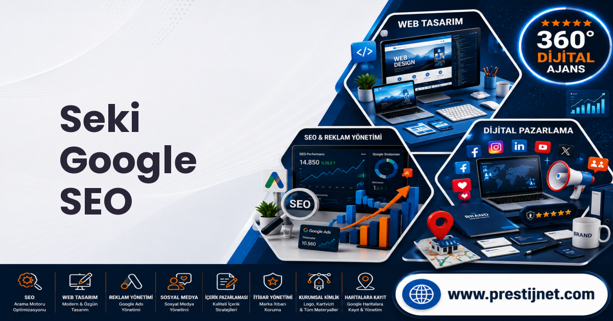 Seki Google SEO