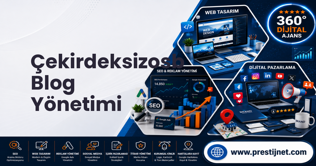Çekirdeksizosb Blog Yönetimi