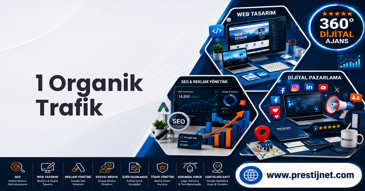 1 Organik Trafik