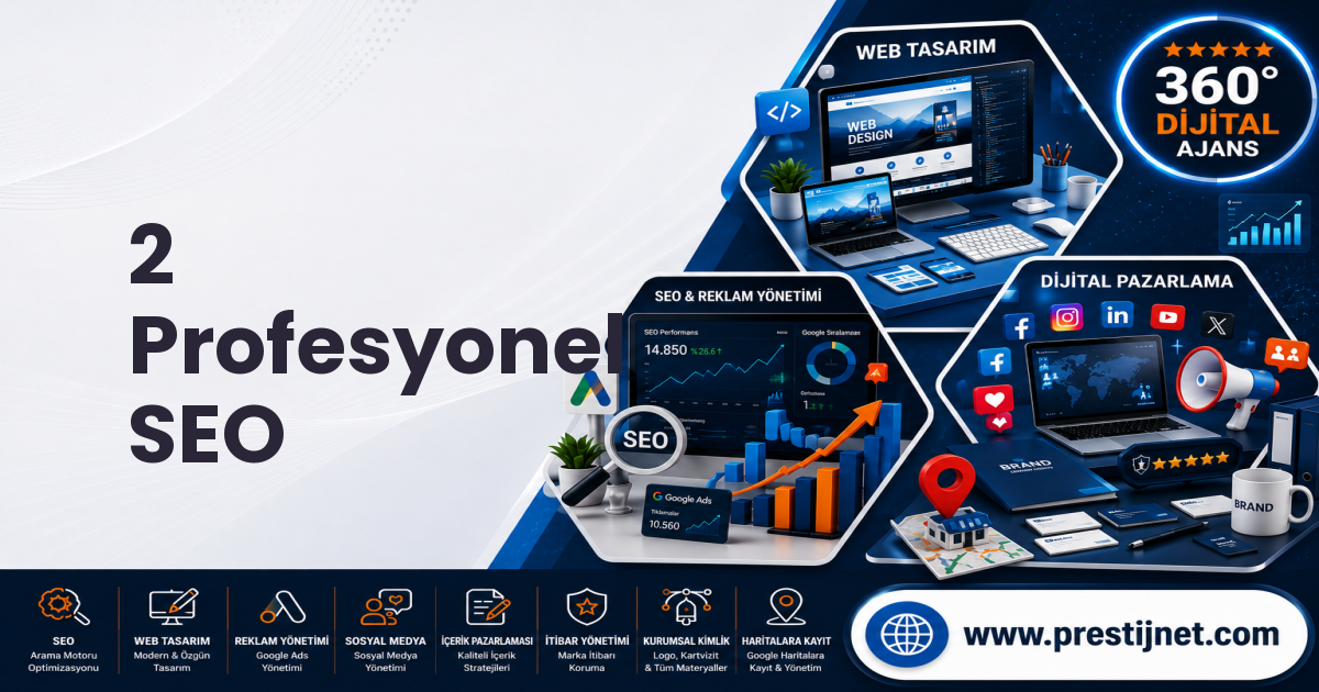 2 Profesyonel SEO