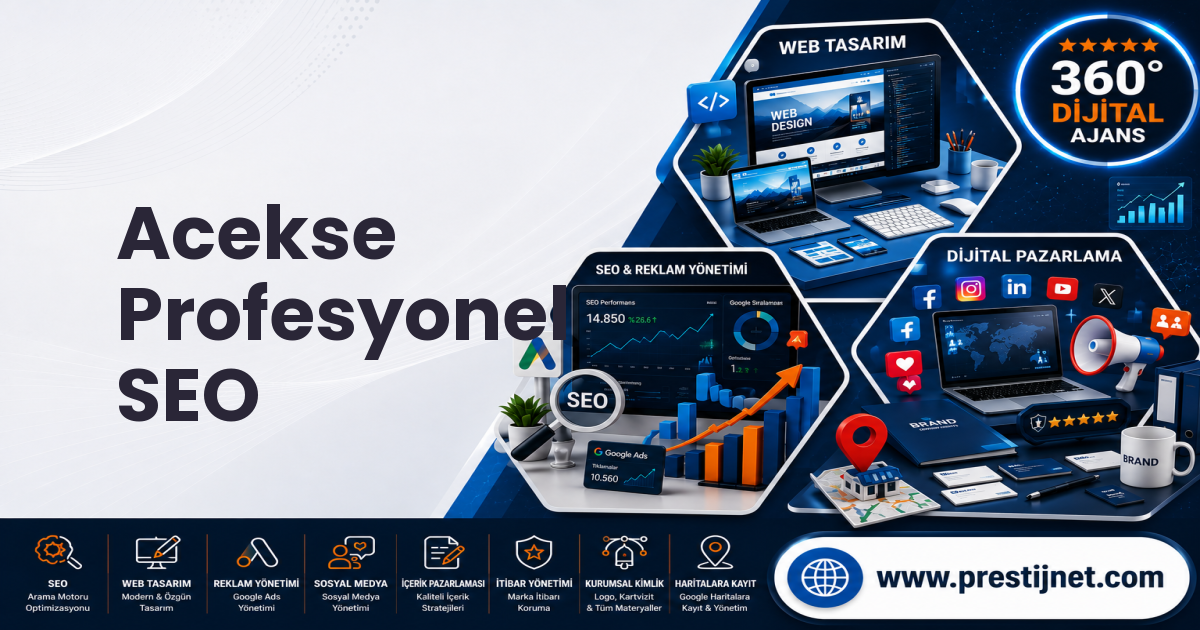 Acekse Profesyonel SEO