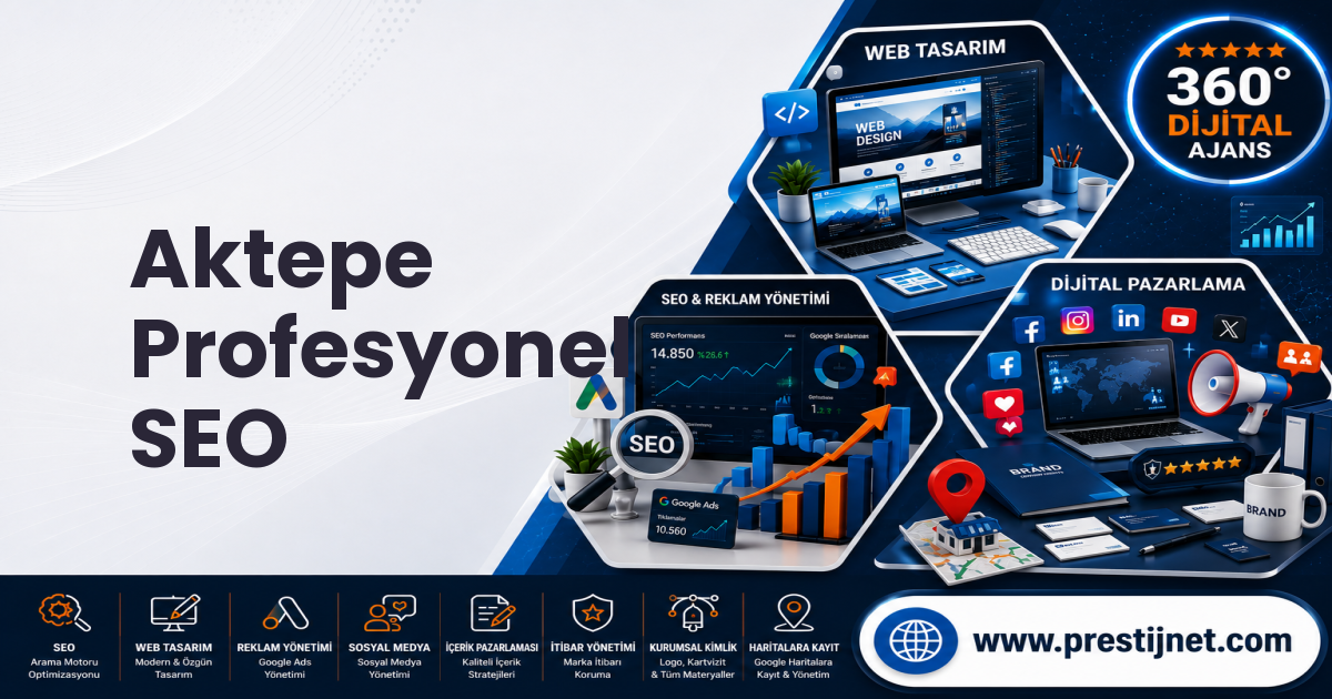 Aktepe Profesyonel SEO