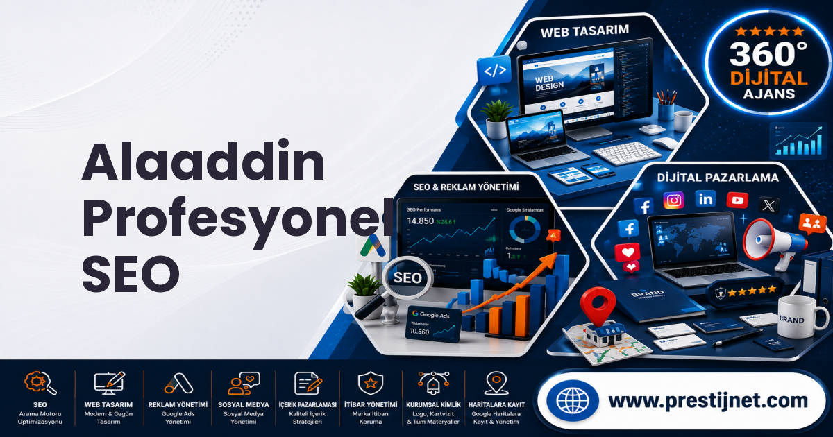 Alaaddin Profesyonel SEO