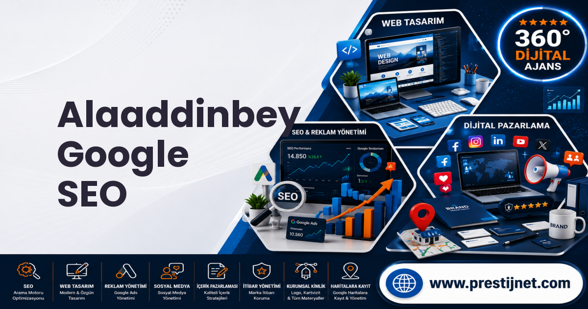 Alaaddinbey Google SEO
