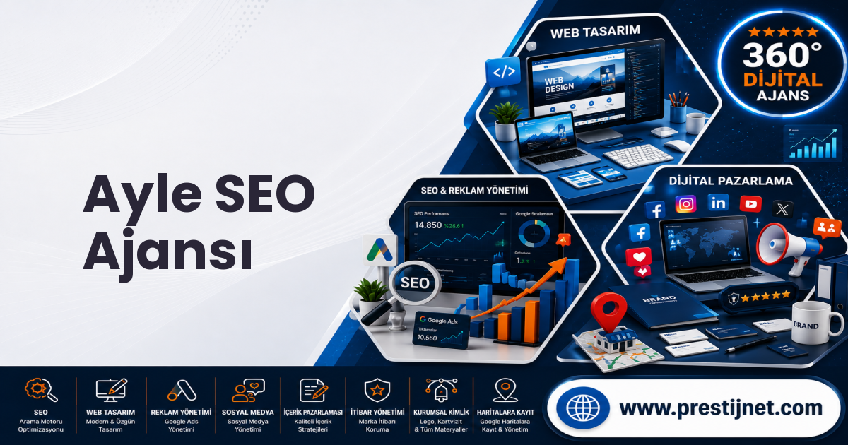 Ayle SEO Ajansı