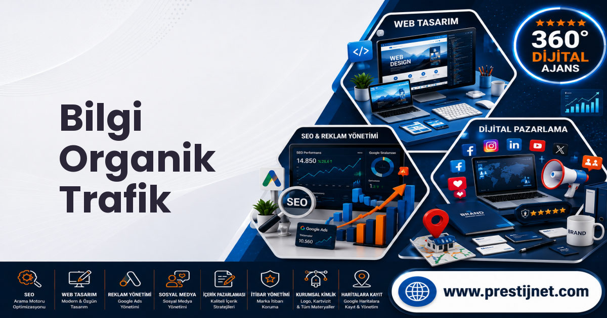 Bilgi Organik Trafik