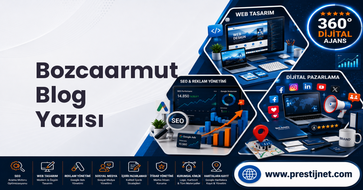 Bozcaarmut Blog Yazısı