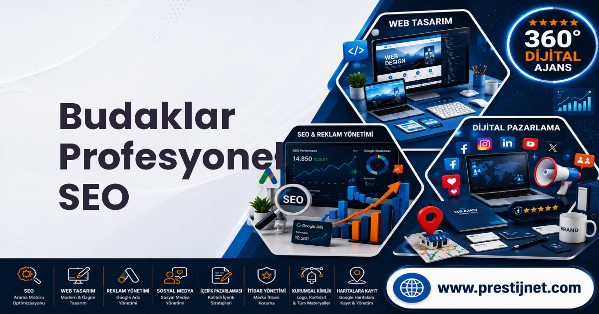 Budaklar Profesyonel SEO