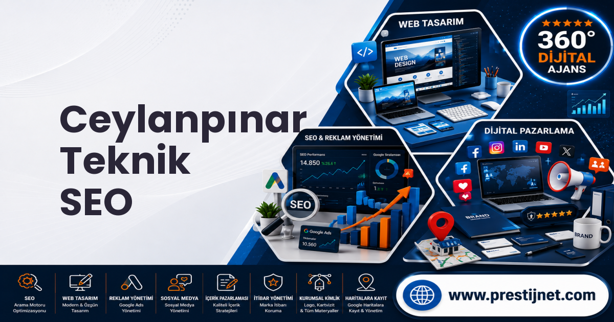 Ceylanpınar Teknik SEO