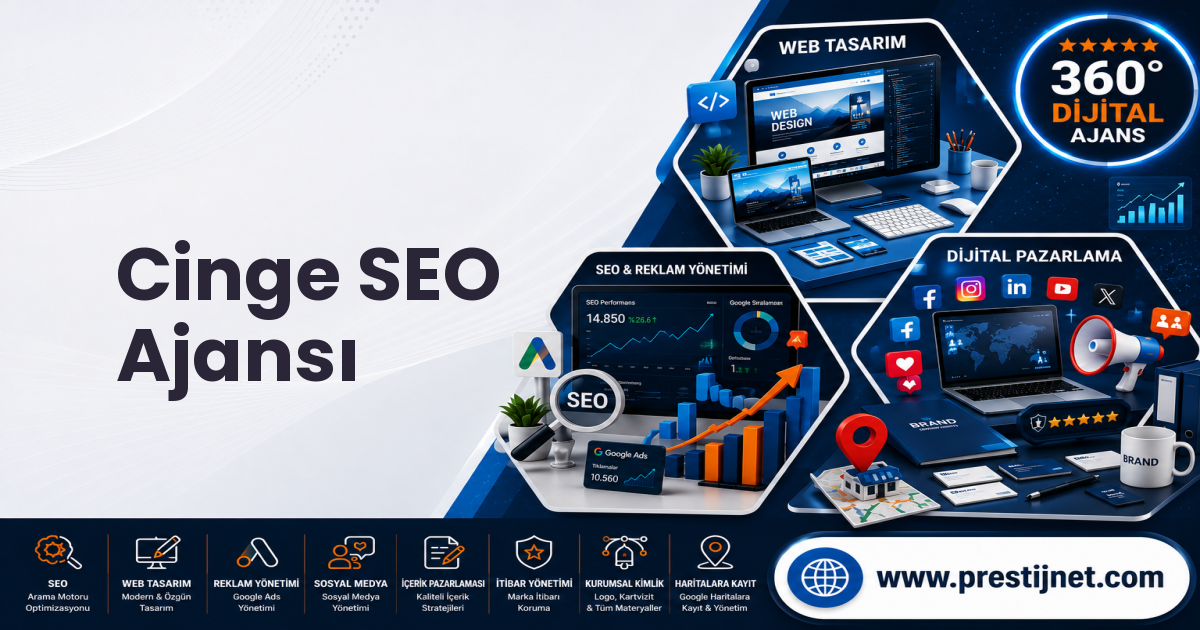Cinge SEO Ajansı