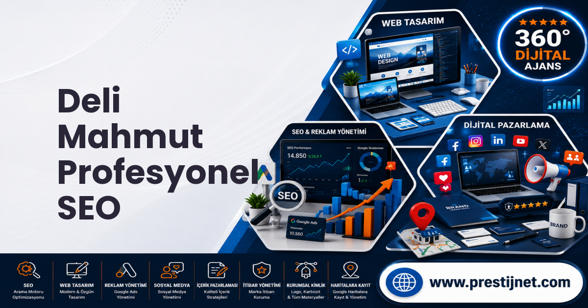 Deli Mahmut Profesyonel SEO