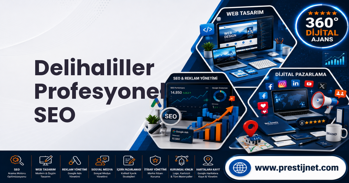Delihaliller Profesyonel SEO