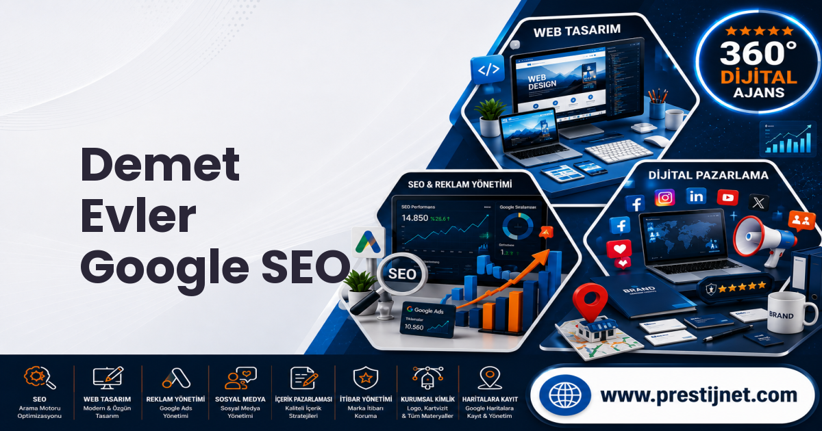 Demet Evler Google SEO