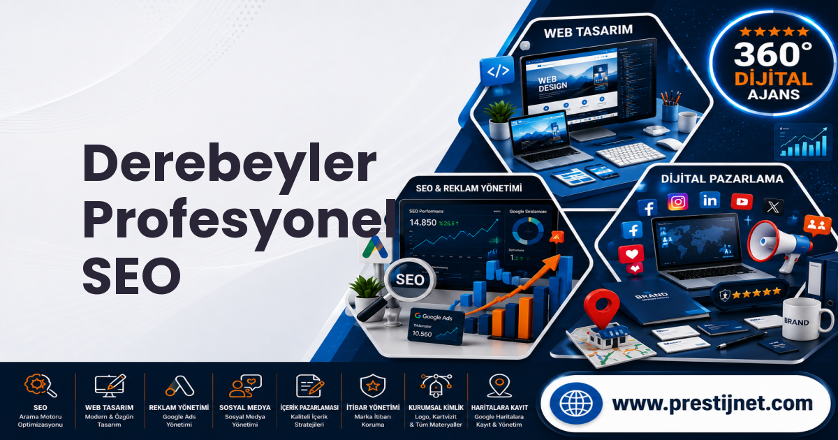 Derebeyler Profesyonel SEO