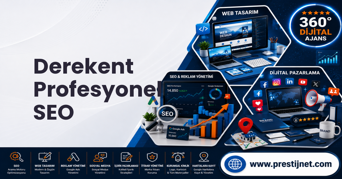 Derekent Profesyonel SEO