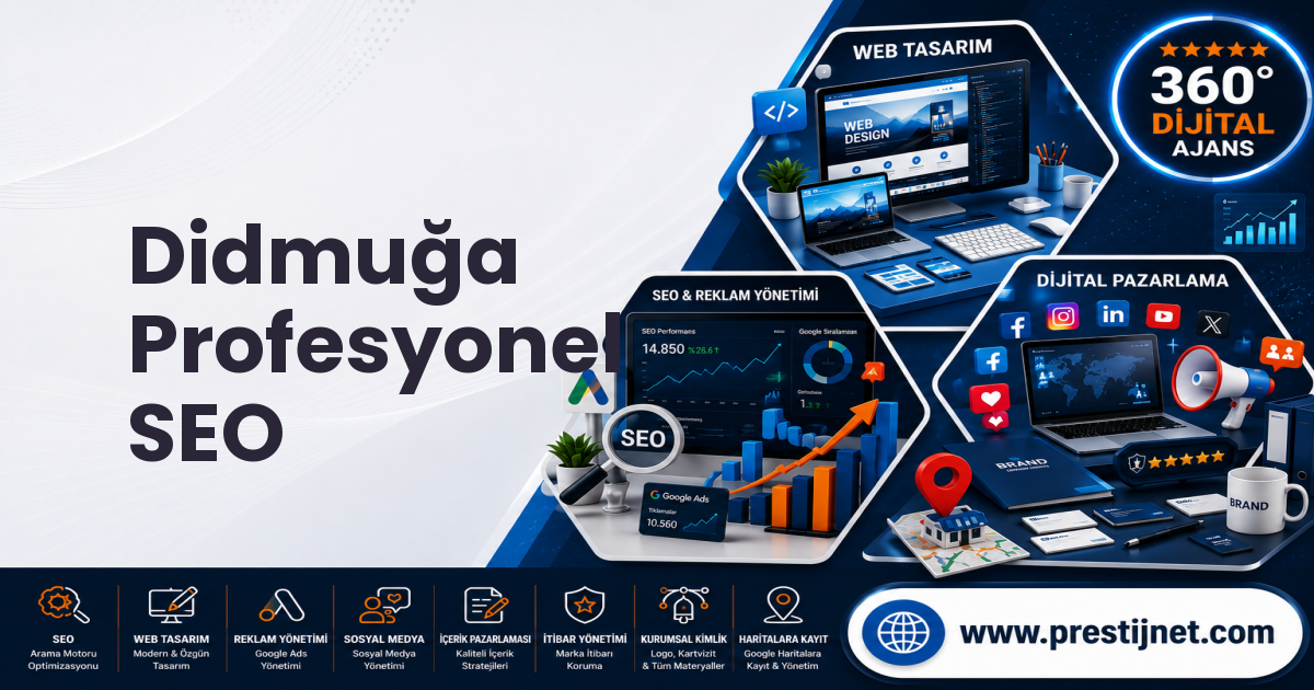 Didmuğa Profesyonel SEO