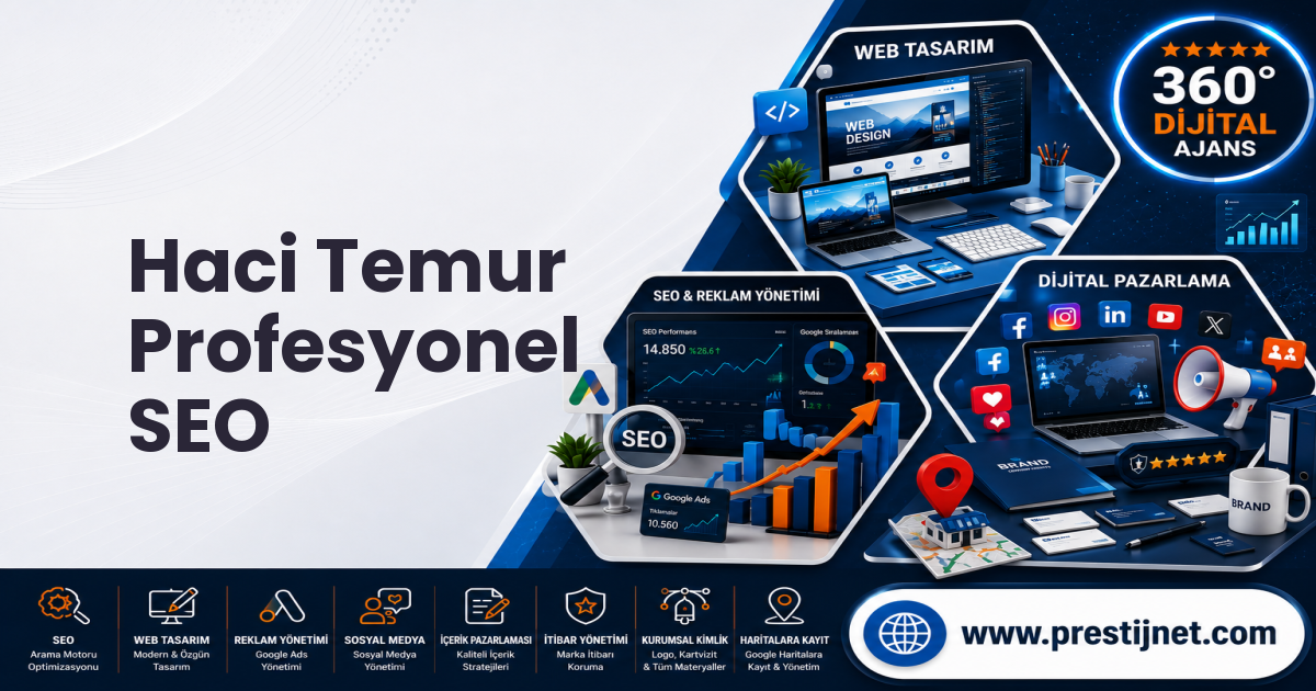 Haci Temur Profesyonel SEO