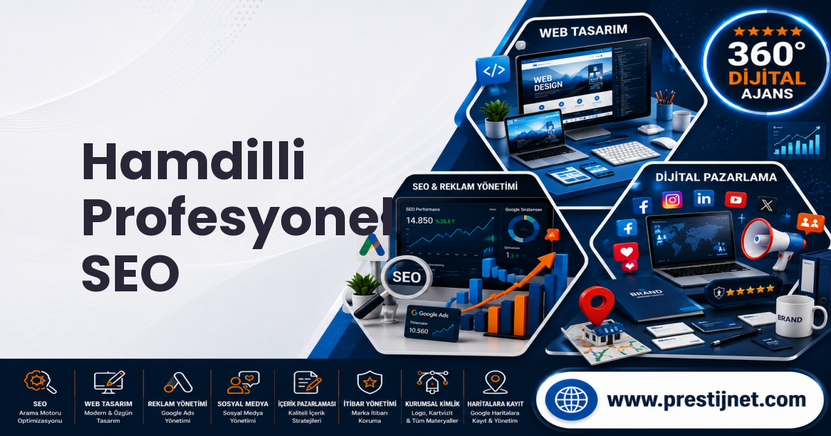 Hamdilli Profesyonel SEO