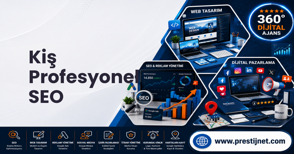 Kiş Profesyonel SEO