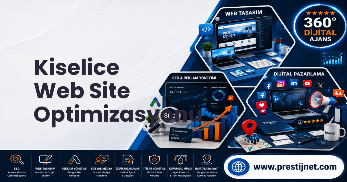 Kiselice Web Site Optimizasyonu