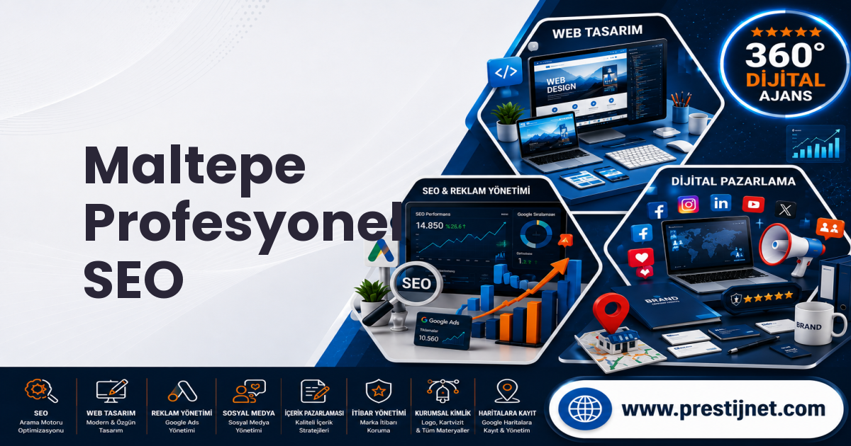 Maltepe Profesyonel SEO