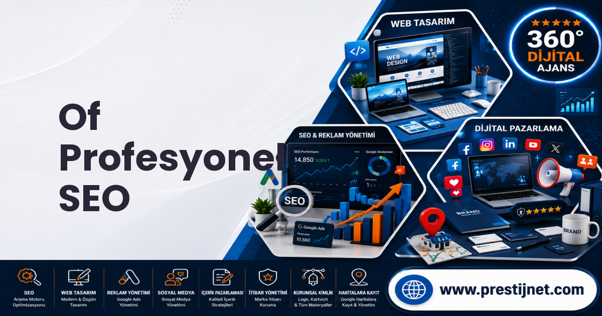 Of Profesyonel SEO