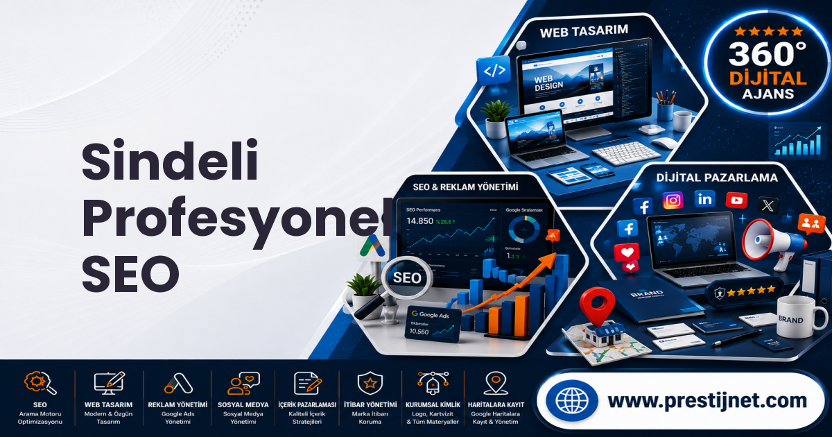 Sindeli Profesyonel SEO
