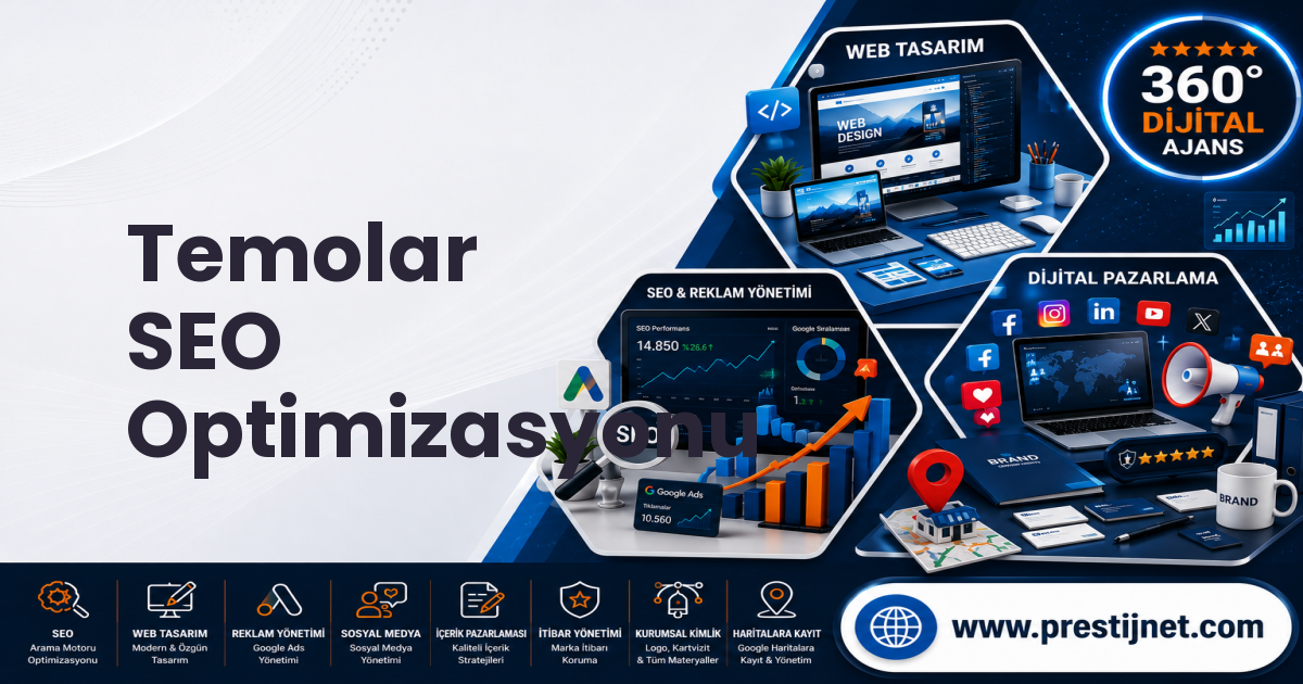 Temolar SEO Optimizasyonu