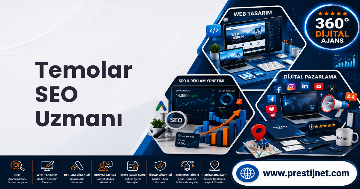 Temolar SEO Uzmanı