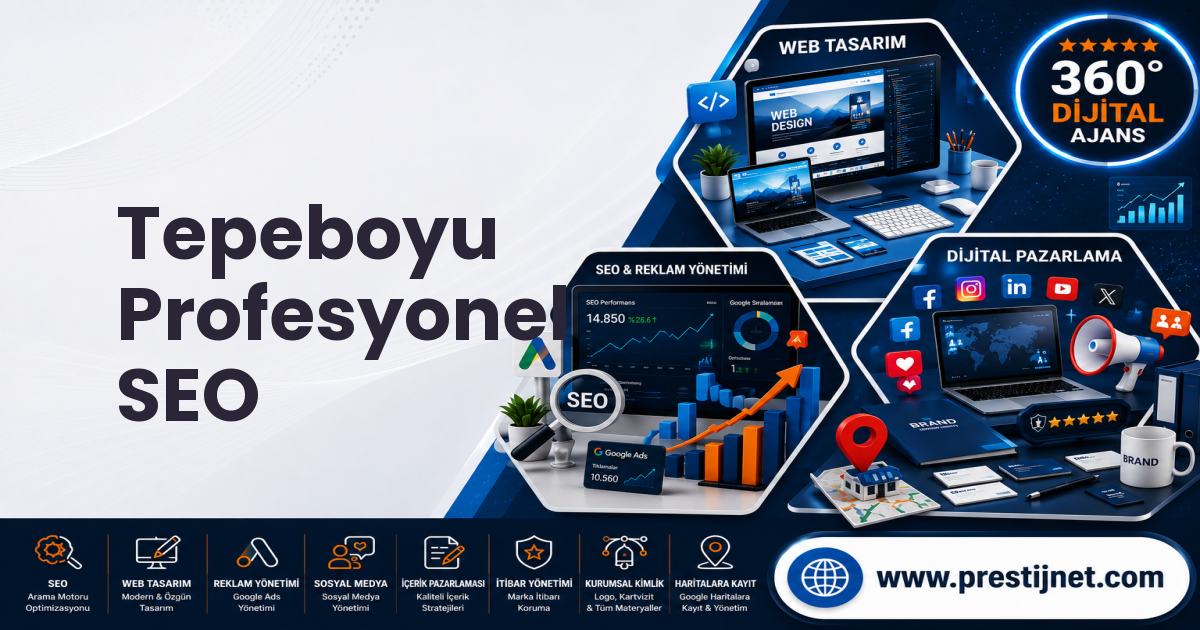 Tepeboyu Profesyonel SEO