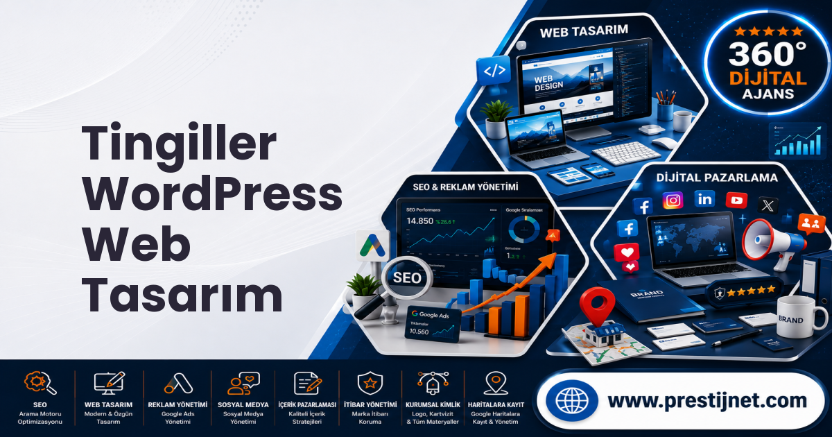 Tingiller WordPress Web Tasarım