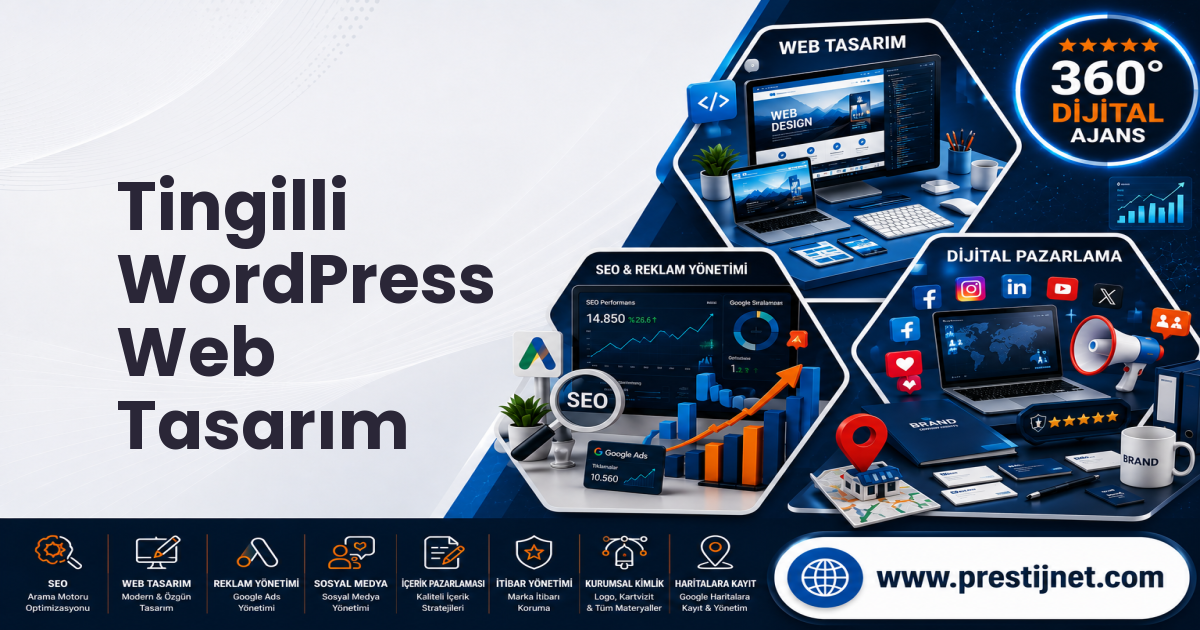 Tingilli WordPress Web Tasarım